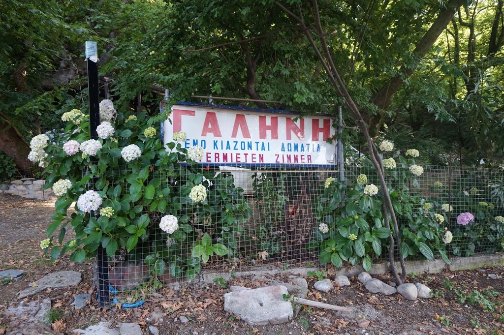 Galini Samothraki Hotel Therma  Exterior photo